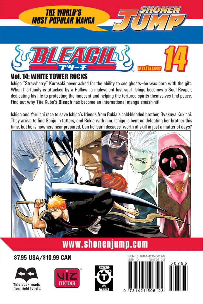 BLEACH Manga Volume 14 - Image 2