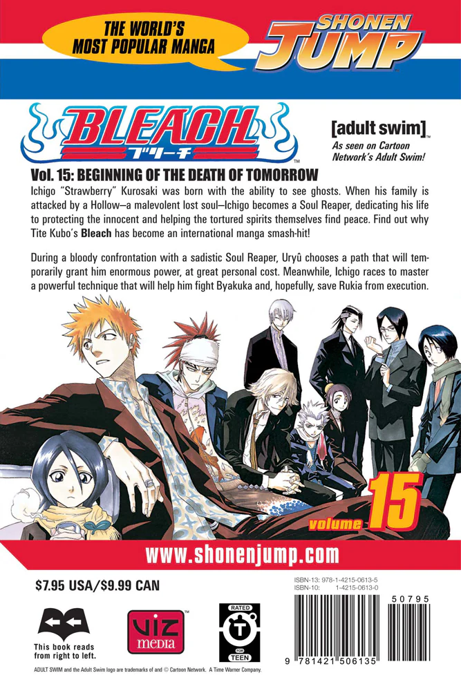 BLEACH Manga Volume 15 - Image 2