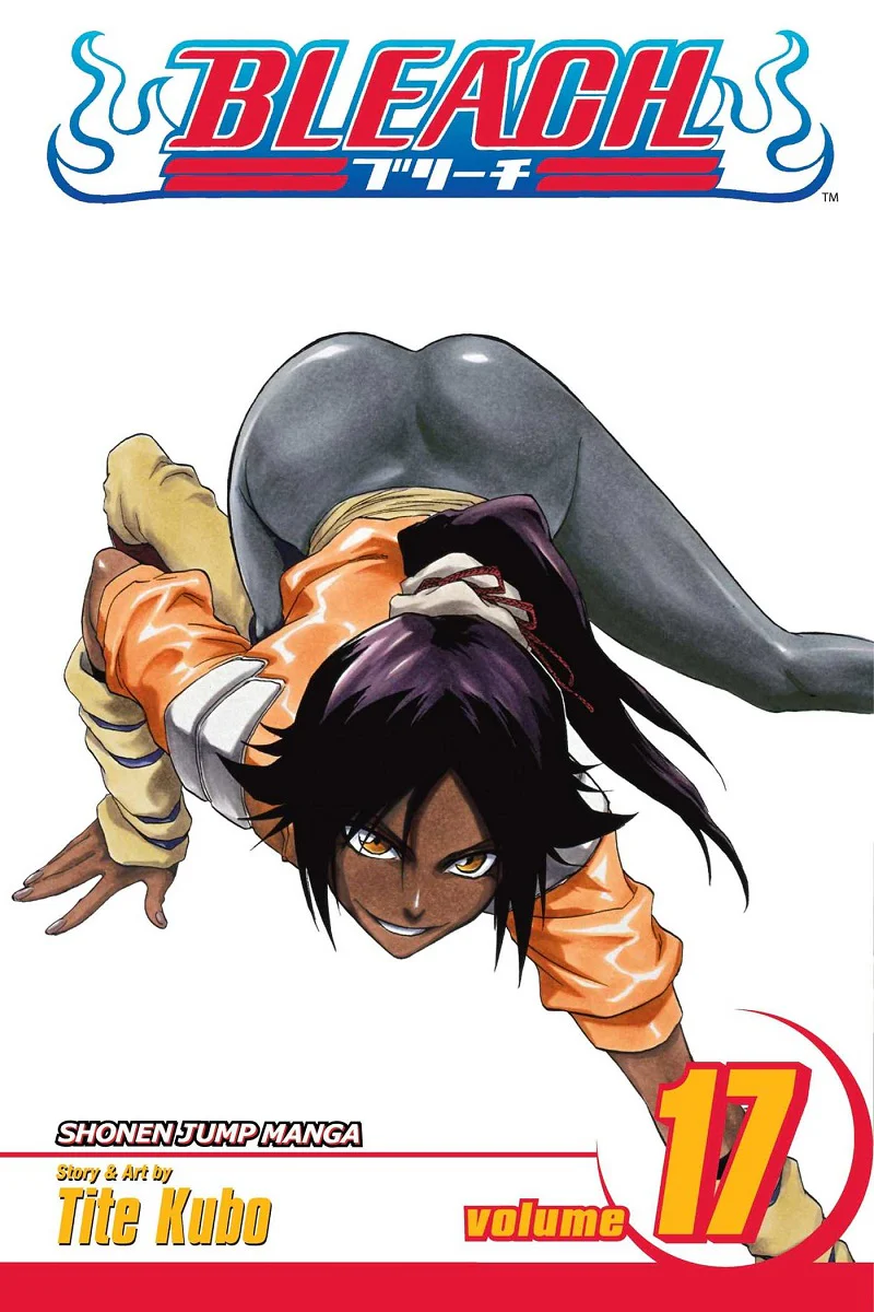 BLEACH Manga Volume 17