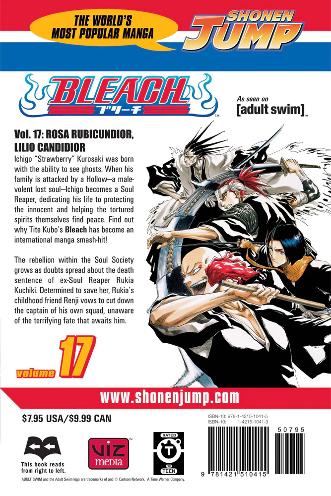 BLEACH Manga Volume 17 - Image 2