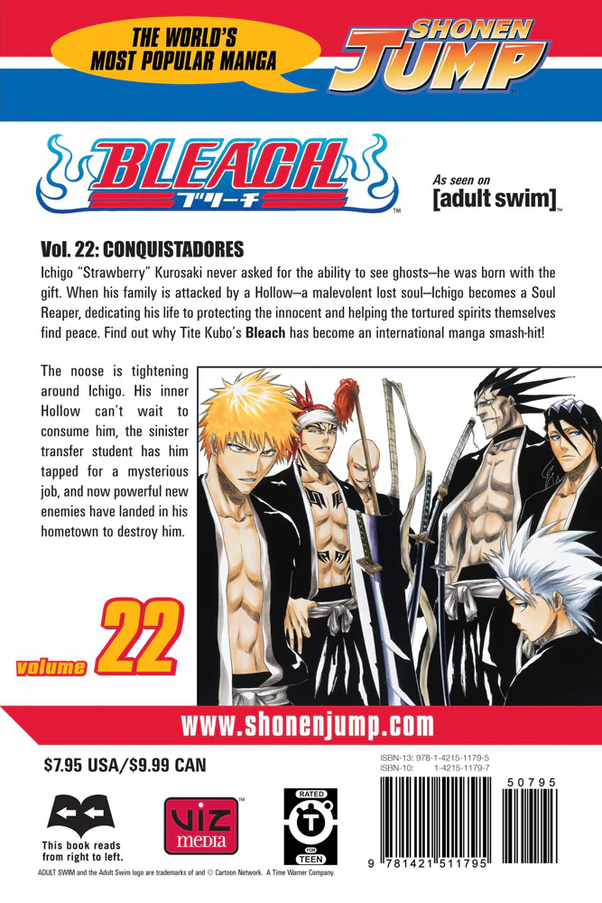 BLEACH Manga Volume 22 - Image 2