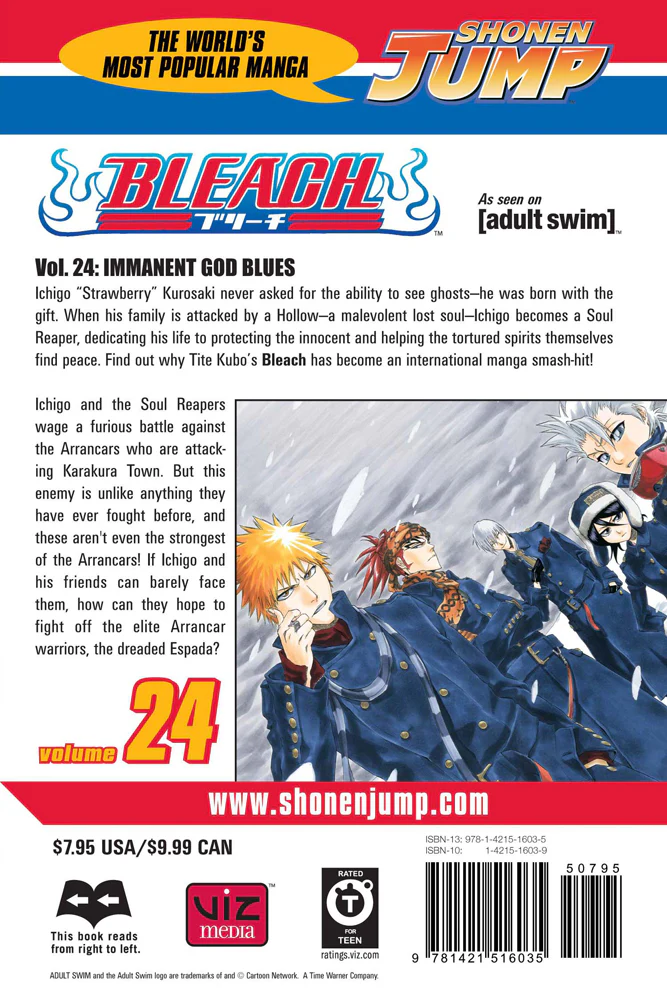 BLEACH Manga Volume 24 - Image 2