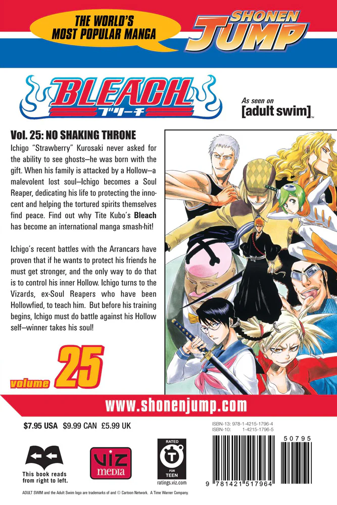 BLEACH Manga Volume 25 - Image 2