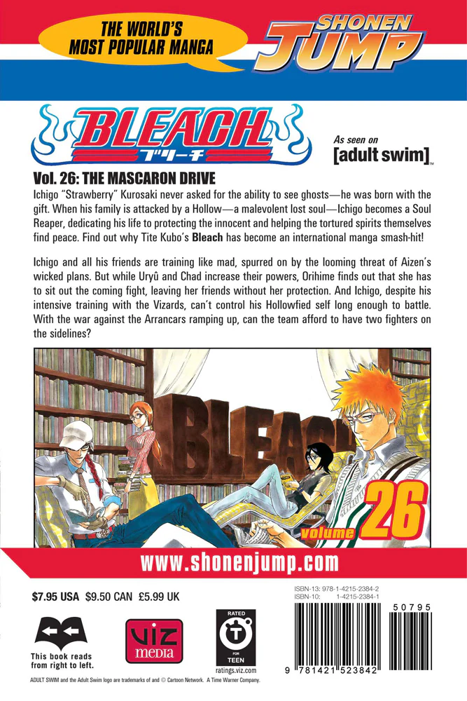 BLEACH Manga Volume 26 - Image 2