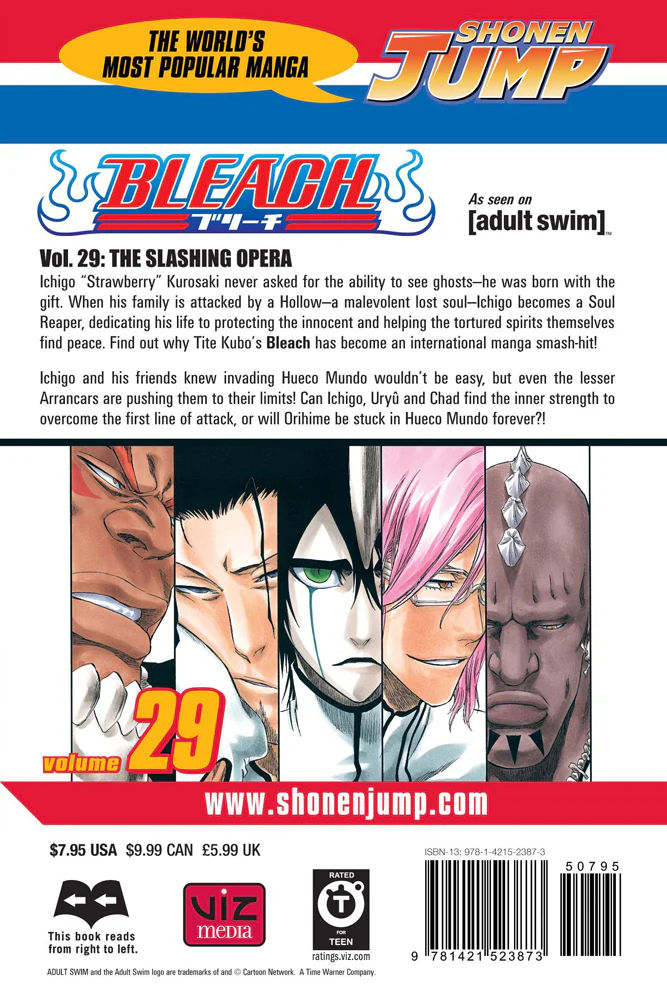 BLEACH Manga Volume 29 - Image 2