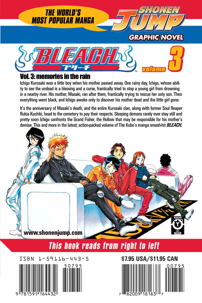 BLEACH Manga Volume 3 - Image 2