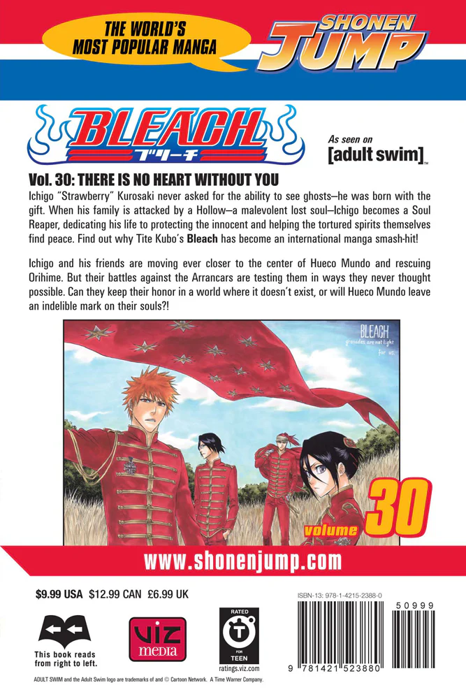 BLEACH Manga Volume 30 - Image 2