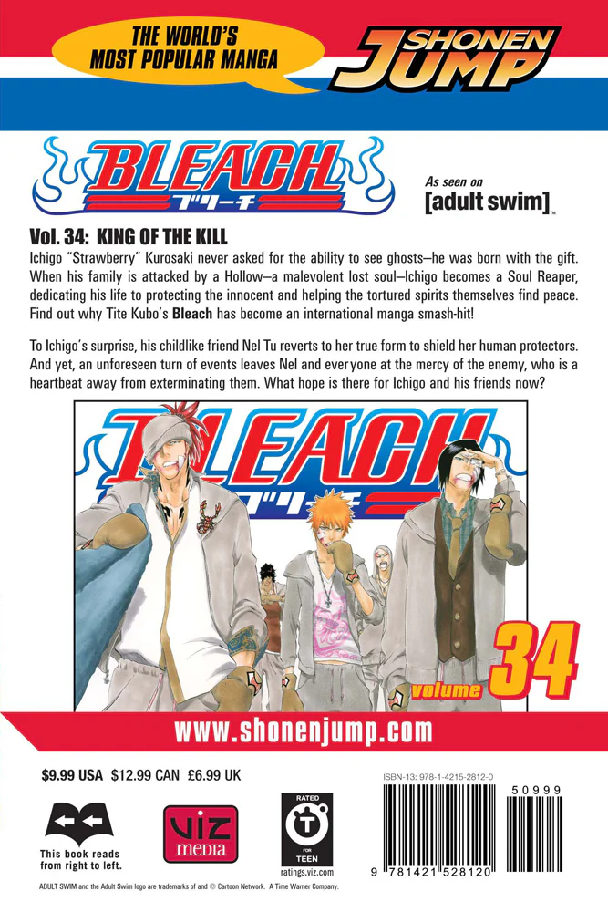 BLEACH Manga Volume 34 - Image 2