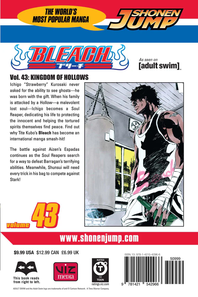 BLEACH Manga Volume 43 - Image 2