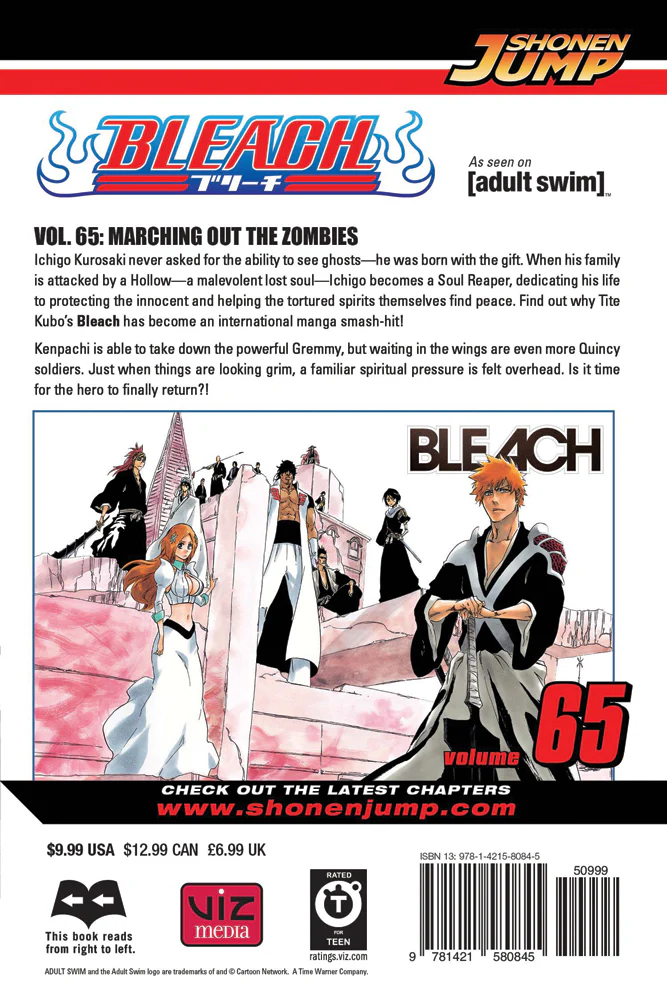 BLEACH Manga Volume 65 - Image 2