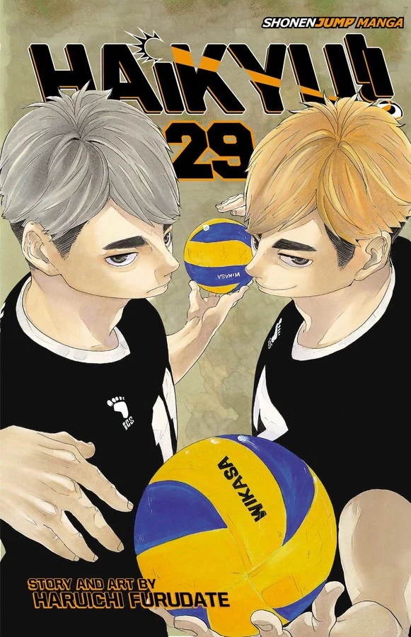 Haikyu!! Manga Volume 29
