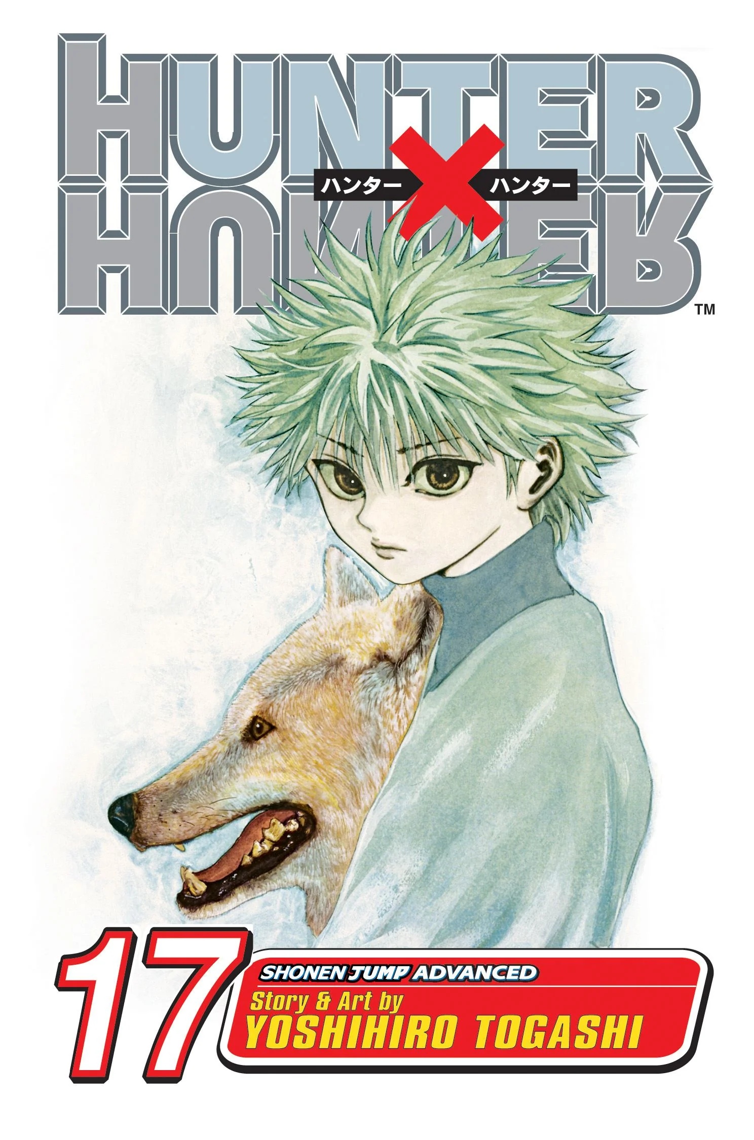 Hunter x Hunter Manga Volume 17