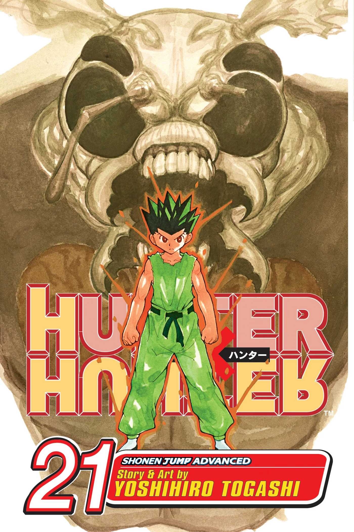 Hunter x Hunter Manga Volume 21